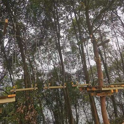 湖北宜都天龙湾青少年拓展基地丛林穿越