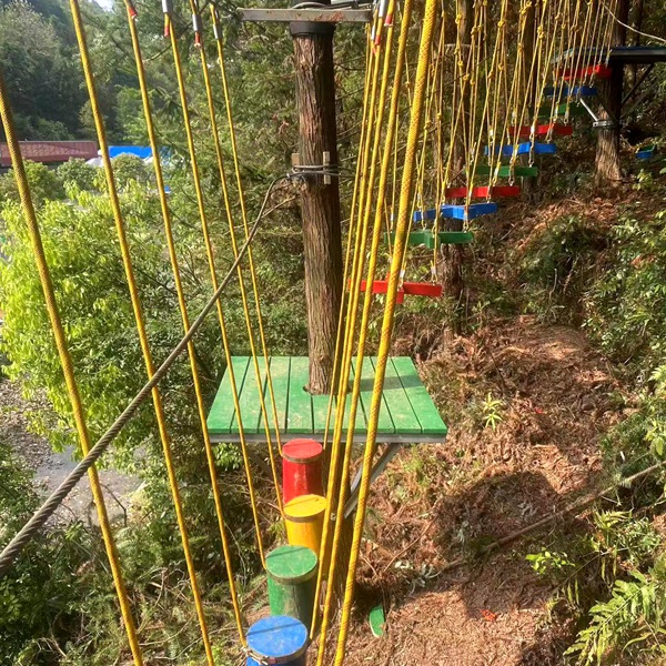 丛林穿越